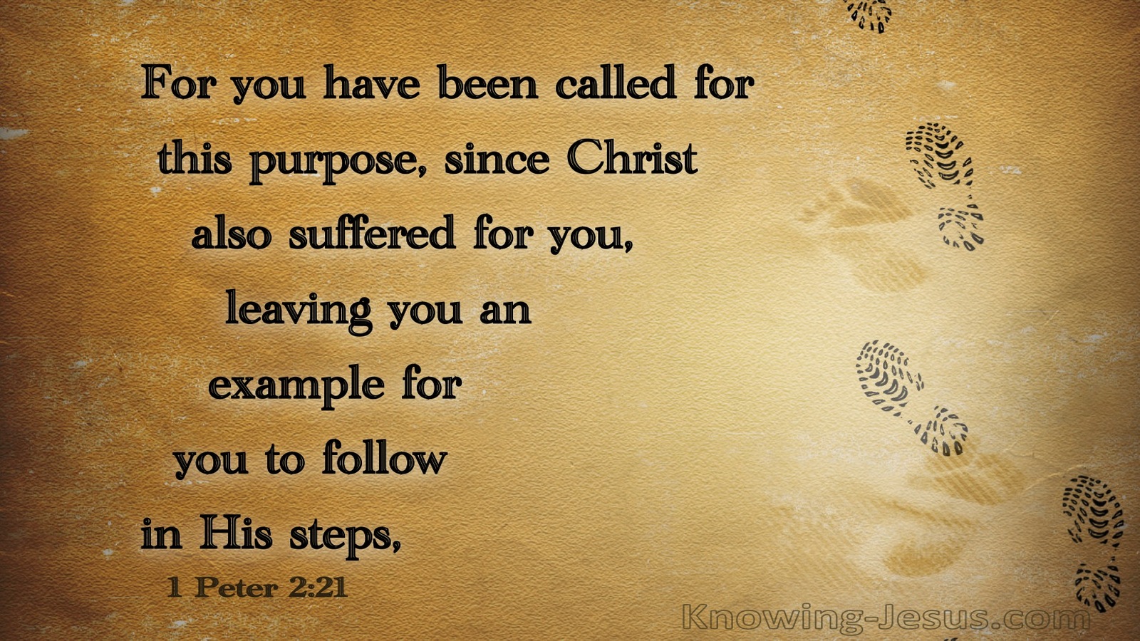 1 Peter 2:22 You Have Been Called For This Purpose (brown)